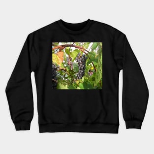 Grape Crewneck Sweatshirt